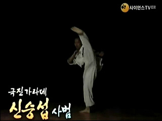 극진가라데 신승섭 사범