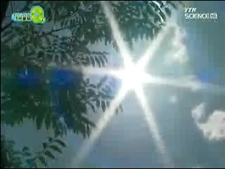 더위와의 전쟁, 폭염과학