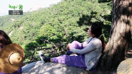느림의 미학, 슬로시티