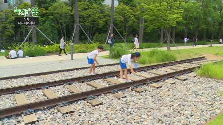 도시, 다시 태어나다