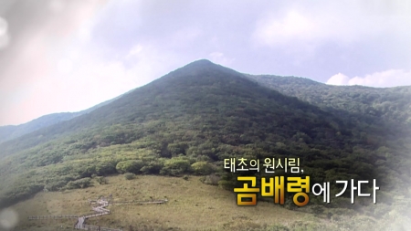 태초의 원시림, 곰배령에 가다