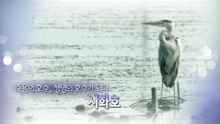 죽음의 호수, 생명의 호수가 되다