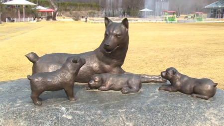 다시 태어난 전설의 개, 동경이