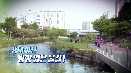 생태 하천, 방향 잃은 물길