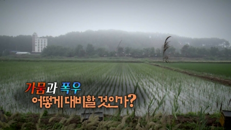 '가뭄과 폭우' 어떻게 대비할 것인가?