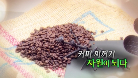 커피 찌꺼기, 자원이 되다
