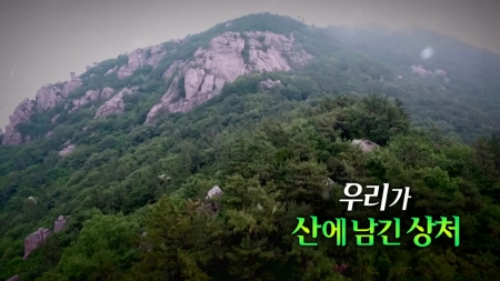 우리가 산에 남긴 상처
