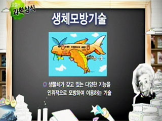 생체모방기술