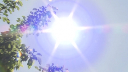 덥다 했더니…올여름 사상 두 번째 폭염
