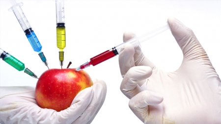 노벨상 수상자 'GMO' 지지 이유는?