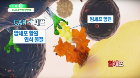 면역세포로 암 세포 공격…차세대 면역 항암치료