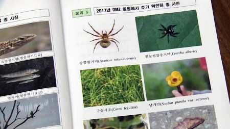 생물의 보고 DMZ…멸종위기 101종 서식