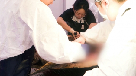 고통받는 해양생물…치료·보전하는 이영란 수의사