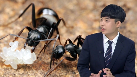 전국을 누비며 개미 연구…젊은 생태학자 동민수