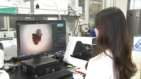 인간 소장과 비슷한 '장기 유사체' 성숙화 기술 개발