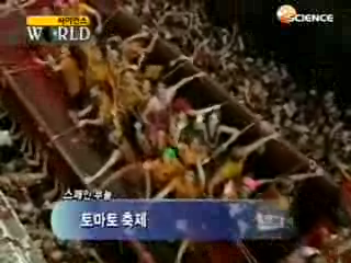 토픽엔, 스페인 토마토 축제