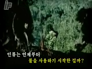 만약, 불이 없다면...