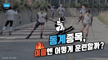 동계종목, 여름엔 어떻게 훈련할까?