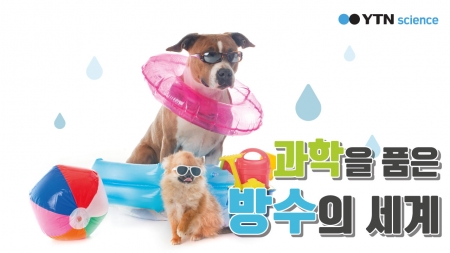 여름에 특히 더 궁금한 '방수'기술 속 숨은 과학!