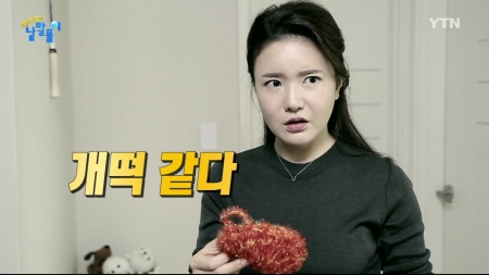 왜 '개떡 같다'고 하는 걸까요?