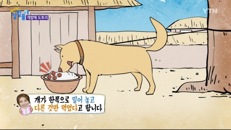 개밥에 도토리만 남으면 어떻게 될까?