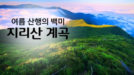 여름 산행의 백미 '지리산 계곡'