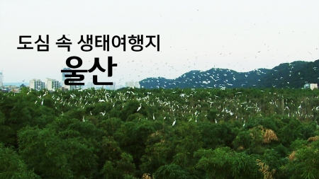 도심 속 생태여행지 '울산'