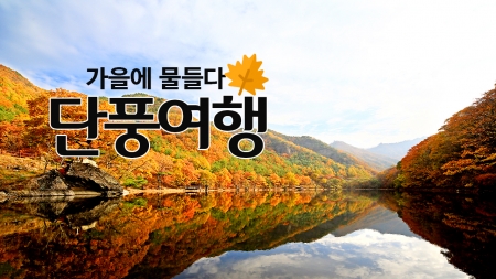 가을에 물들다 '단풍여행'