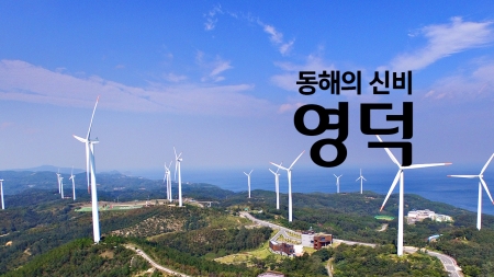 동해의 신비 '영덕'