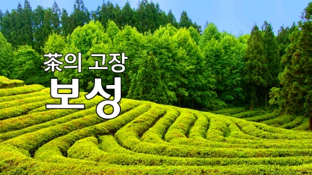 차의 고장 '보성'