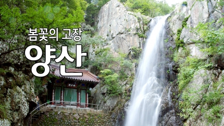 봄꽃의 고장 '양산'