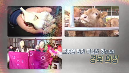 경북 의성의 숨겨진 매력을 찾아서