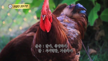 반갑다, 2017년