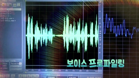 목소리의 비밀, 보이스 프로파일링