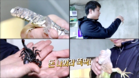 돈 버는 특급 비법