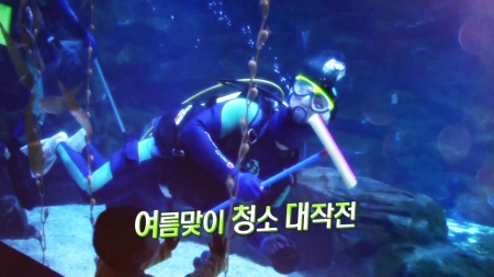 깨끗한 세상 만들기