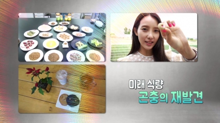 미래 식량, 곤충의 재발견