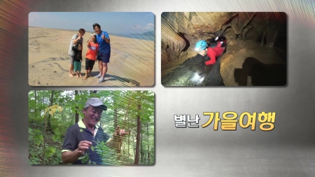 별난 가을여행