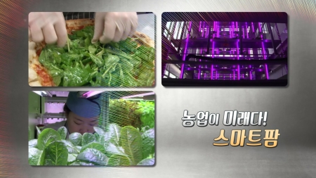 미래형 농업 스마트 팜