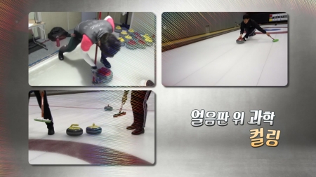 컬링의 세계