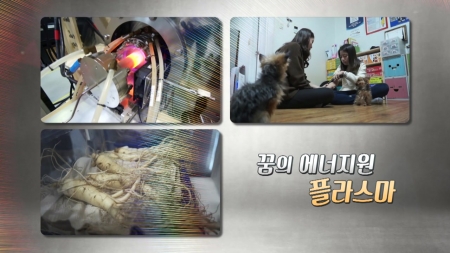 꿈의 에너지원 플라스마