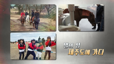 말의 섬 제주도에 가다