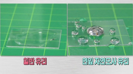 자연을 배우다 - 자연모사 과학 기술