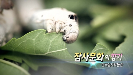 잠사문화의 향기 - 한국잠사박물관