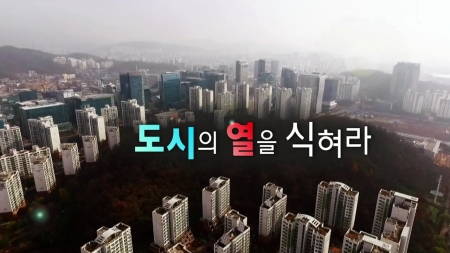 도시의 열을 식혀라