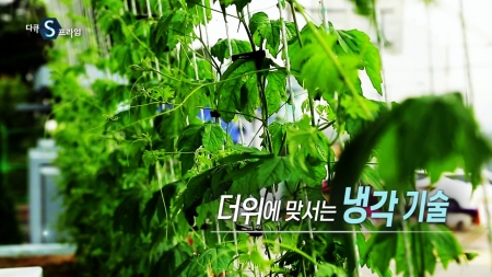 더위에 맞서는 냉각 기술