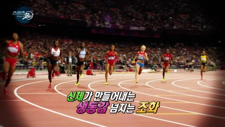 인간신체 능력의 기본을 바탕으로 만들어진 스포츠 육상