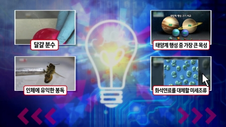 삼투압의 원리로 만드는 달걀 분수