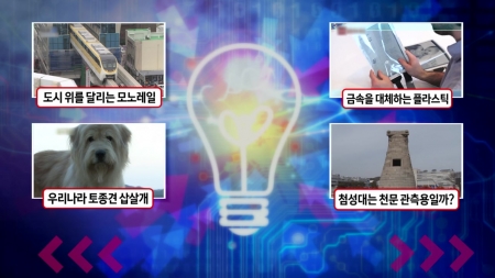 도시 위를 달리는 모노레일