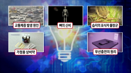 교통체증이 발생하는 이유는?